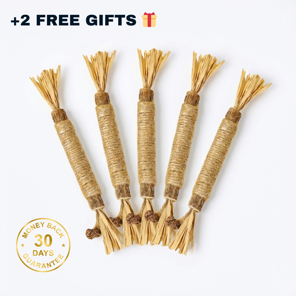 The Chewini Pack | FourPawsLab™