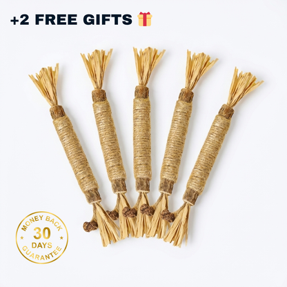 The Chewini Pack | FourPawsLab™