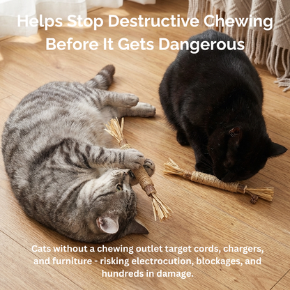 The Chewini Pack | FourPawsLab™