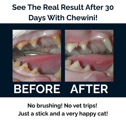 The Chewini Pack | FourPawsLab™