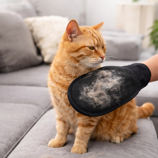 Grooming Mitt